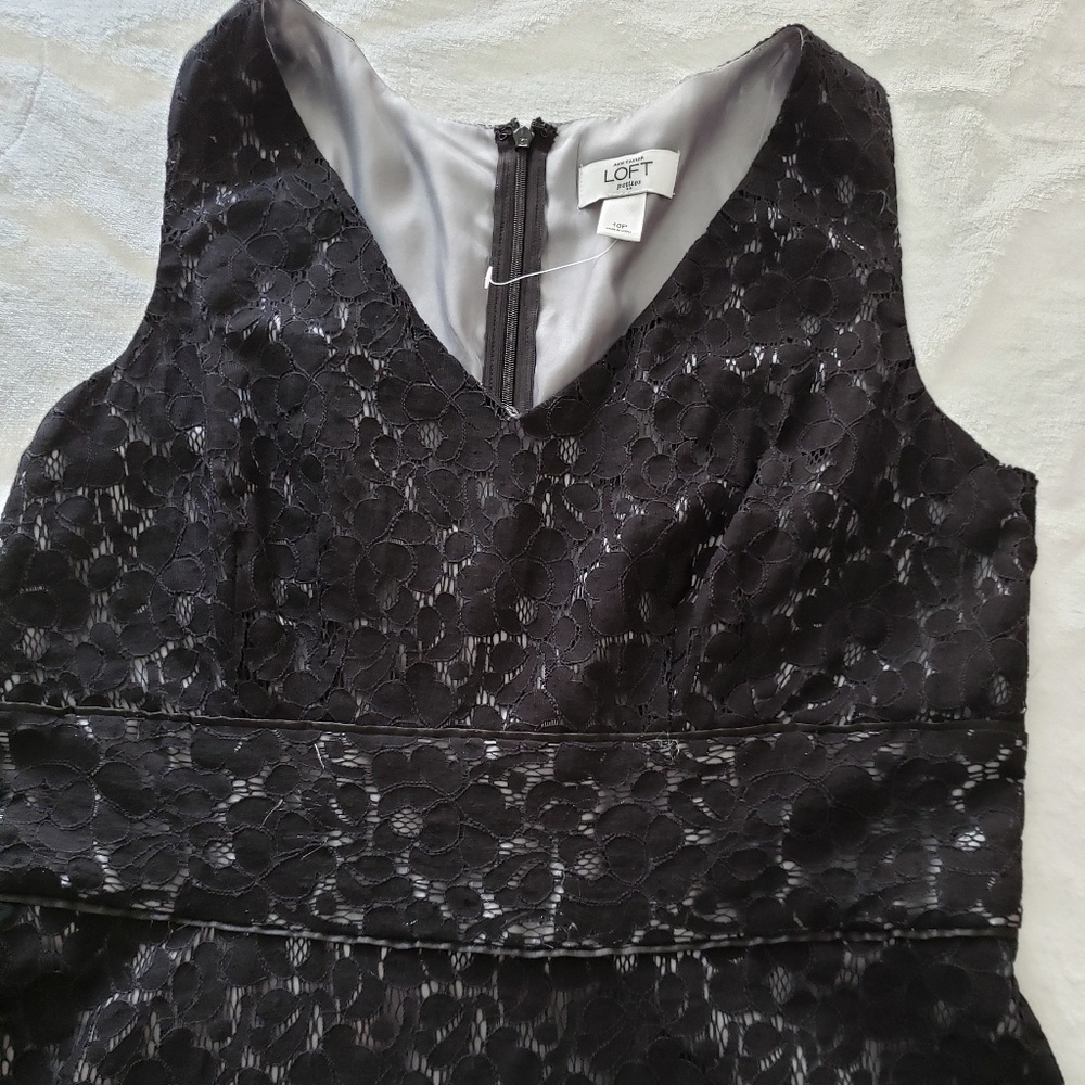 Black lace overlay LOFT petite dress